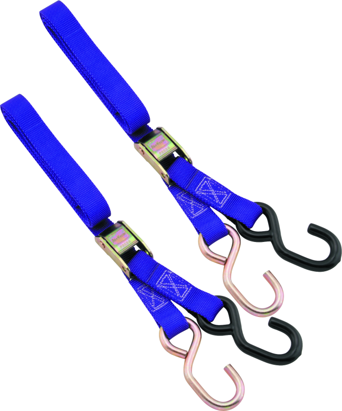 BikeMaster 1in Tiedown - Purple